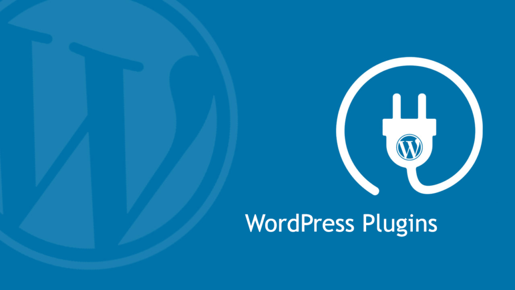 accessibility providers and WordPress  plugins
